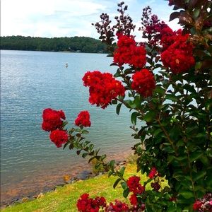 Meet your Posher, Maribel